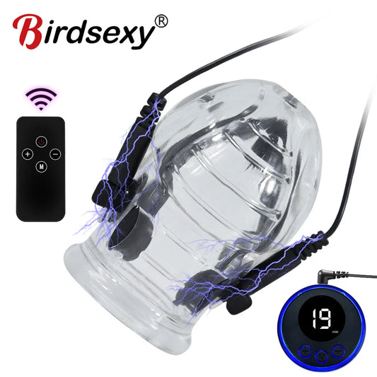 BirdSexy Pene Electrochoque